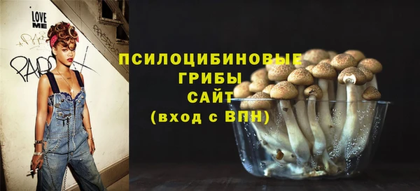 ПСИЛОЦИБИНОВЫЕ ГРИБЫ Балабаново