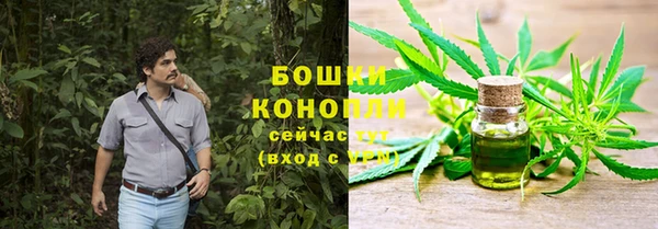 эйфоретик Арсеньев
