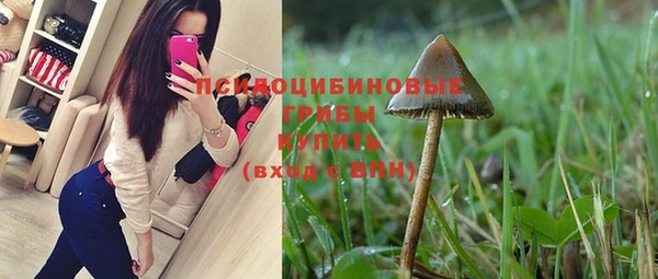ПСИЛОЦИБИНОВЫЕ ГРИБЫ Балабаново