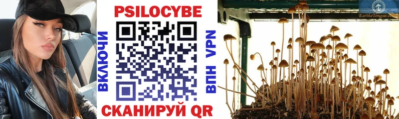 площадка официальный сайт  Тейково  Псилоцибиновые грибы мицелий 