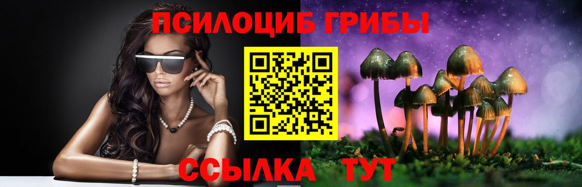 Галлюциногенные грибы Psilocybe Тейково